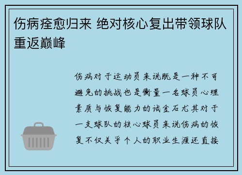 伤病痊愈归来 绝对核心复出带领球队重返巅峰