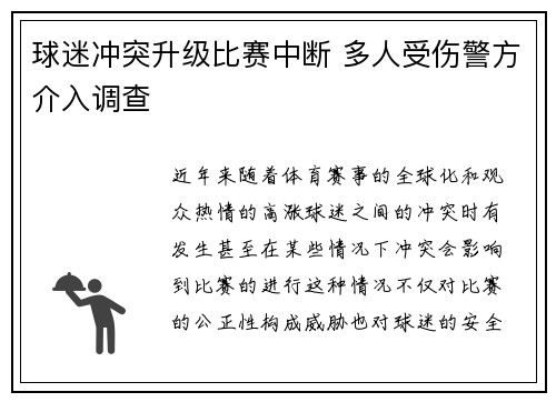 球迷冲突升级比赛中断 多人受伤警方介入调查